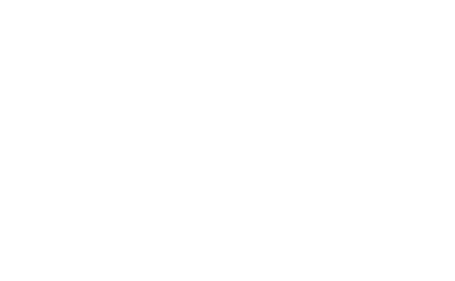 Audi - Montadora parceira