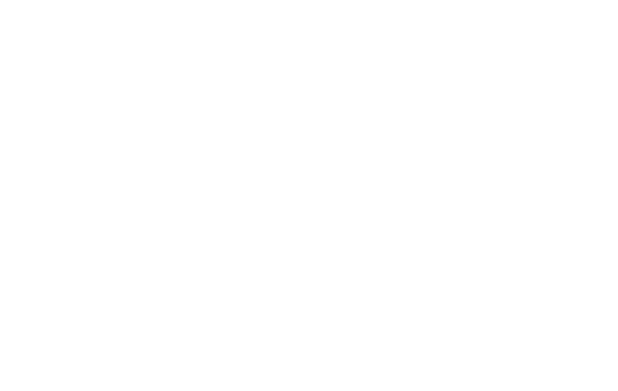 Honda - Montadora parceira