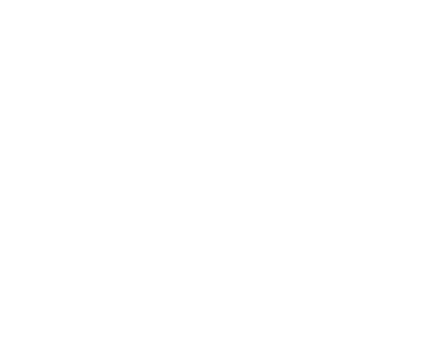 Toyota - Montadora parceira